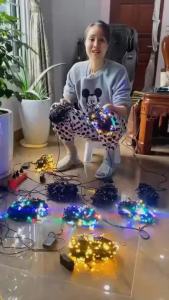 Đèn Nháy 20m 40m Kim Cương Trang Trí Trí Noel Ngoài Trời Chống Nước Tết Trong Nhà Đèn Nhấp Nháy Nhiều Màu Siêu Bền