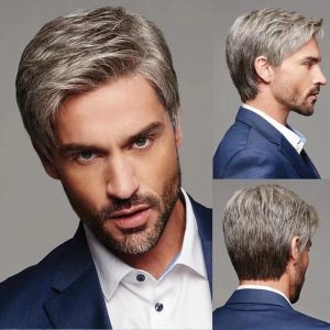 Cross-border new European and American wigs Mens gradual change of gray partial bangs short straight hair wig cover