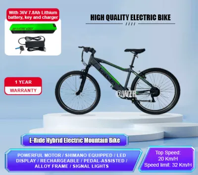 Electric Bicycle Rechargeable Bike Electric Mountain Bike Speed Bike E-Bikes for adult