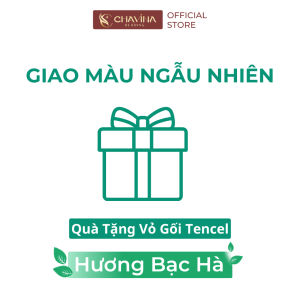 [Quà - Giao Mẫu Ngẫu Nhiên] Vỏ Gối Ôm Tencel Hương Bạc Hà mát lạnh Chavina Bedding size 35x100 cm Nano tinh chất Bạc Hà