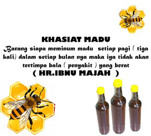 MADU ORIGINAL ASLI MURNI 460ML