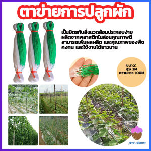 First Chioce ตาข่ายปลูกพืชผัก โครงไม้เลื้อย ค้างปลูกผัก อวนปลูกผัก Plant Support