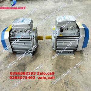 Động Cơ ĐiệnMô Tơ ĐiệnCác Loại Mô Tơ Điện Cần Thiết