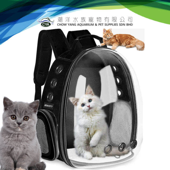 Carrier bag untuk on sale kucing