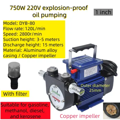 550W Electric Oil Pump 12V/24V/220V Large Flow DC Diesel Fuel Dispenser Oil Transfer Pump