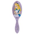 The Wet Brush Disney 100 Years | Thewetbrush | Winnie | Minnie | Tinkerbell | Elsa | Moana | Alice. 