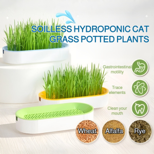 Cat Grass Hydroponic Pot Soilless Hydroponic Cup Planting Hairball Planting Pot Cat Grass Box Cat Grass Home Grown Potted Planter无土水培猫草盒