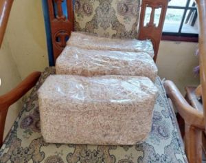 Serbuk Kayu Hamster SG Landak Kayu Jati Belanda / Serbuk Kayu Hamster 300 gram Hamster Bedding Kasar / Serbuk Kayu Untuk Hamster / Landak 250 gram - 300 gram - Hamchip Serbuk Kayu Wangi Premium Bebas Debu - Lemon