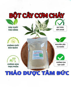 túi 100g bột cây cơm cháy nguyên chất