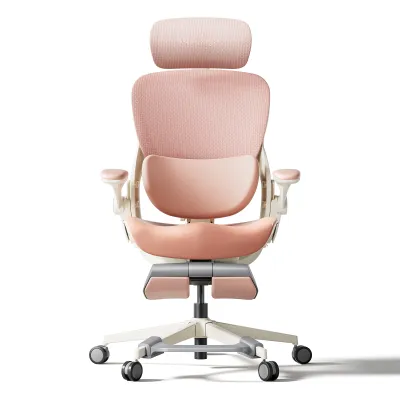 [NEW LAUNCH] Hinomi Q2 Pro Ergonomic Office Chair Adjustable Lumbar Support Memory Foam Headrest Armrest Legrest
