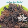 Kembang Lawang 50gr atau Pekak (Star anise) Grade A. 