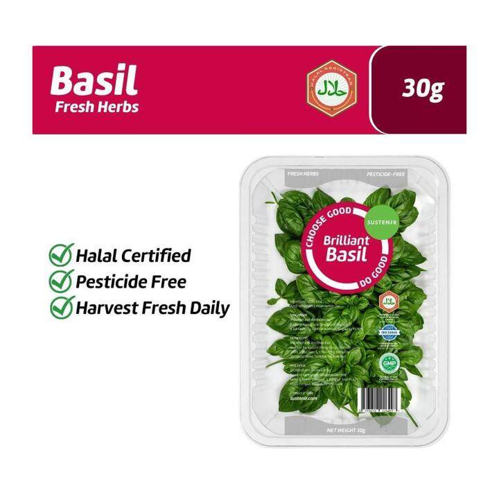 Sustenir Italian Sweet Basil Fresh Herbs Pesticide Free Lazada