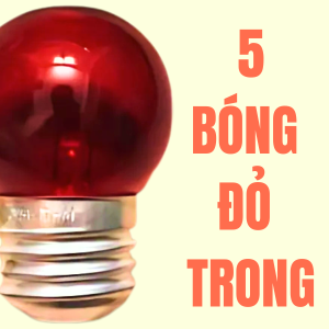 10 Bóng đèn sợi đốt tròn 5W Vĩ Châu 7 màu bóng trái chanh cà na đuôi gài hoặc E27