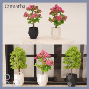 [Cumarba] บ้านตุ๊กตาจำลองพืชในกระถางแบบ1 12บ้านตุ๊กตาขนาดเล็กของตกแต่งบ้านตุ๊กตาสวนขนาดจิ๋วเครื่องประดับภูมิทัศน์