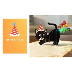 Add Fun to Birthdays with the Rainbow Cat Musical Greeting Perfect Gift Light and Music Happy Birthday Cards