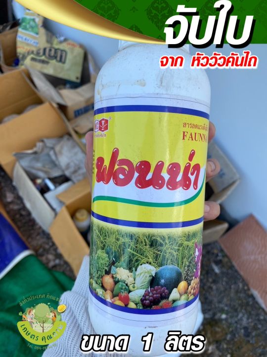 ฟอนน่า สารจับใบคุณภาพสูงจากญี่ปุ่น TAKEMOTO 1 ลิตร