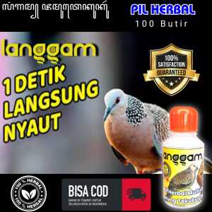 PAKAN BURUNG TEKUK LANGGAM BURUNG TEKUKUR DERKUKU 1 DETIK LANGSUNG NYAUT ANDALAS