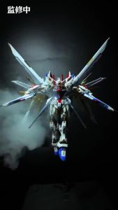 Red Lotus Workshop 1/100 Defender Backpack  / 红莲工坊 护卫者背包 / Mighty Strike Freedom dam