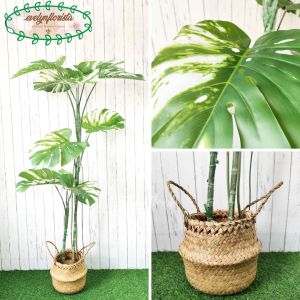 Pohon Artificial Pohon Plastik Monstera Variegata T170 & T190 Latex Pot Dasar Hitam Cover Purun Belly Dekorasi Caffe