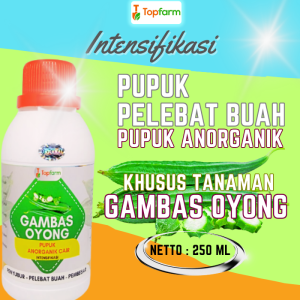 Pupuk Pelebat Buah Gambas / Pupuk Pelebat Buah Oyong / Pupuk Buat Oyong Emes / Pupuk Booster Oyong / Pupuk Oyong / Pupuk Penyubur Daun Dan Buah