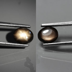 0.50 ct พลอยดิบ พลอยเนื้อแข็ง พลอยสตาร์ 6 แฉก ไข่หลังเบี้ย บางกะจะ