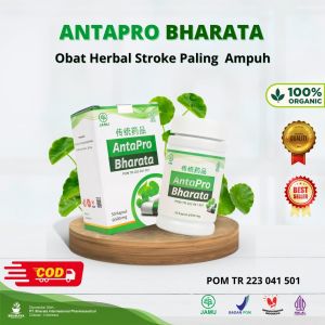 Obat Herbal Stoke paling Ampuh - Kembali Sehat Dengan Herbal Alami ANTAPRO BHARATA