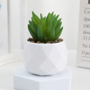 Simulation Evergreen Artificial Succulent Cactus Plastic Succulents Bonsai Fake Plants Home Decor