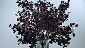 Artificial Black Flowers 10 Pcs Fake Babys Breath Black Gypsophila Faux Flowers for Halloween Home Decor Gothic Decor Floral Arrangement Table Centerpieces (10 Black)