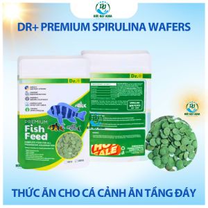 Thức ăn cho cá cảnh ăn tầng đáy k làm đục nước cá biển và nước ngọt Dr+ Premium Spirulina Wafers