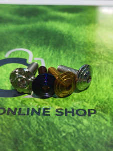 Mushroom Plate Bolts Set of 2 with Nut and Washer for Motorcycles