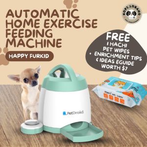 ✅[SG] AUTOMATIC HOME HIDE-AND-SEEK EXERCISE FEEDING MACHINE ★ FREE Enrichment Tips & Ideas e-Guide Worth $7