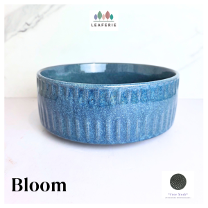 The Leaferie Bloom Shallow plant pots . planter . flowerpot . ceramic . flower pot