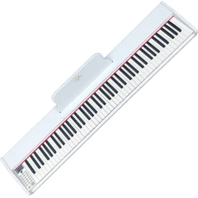 Clifton DWP-02 Digital Piano