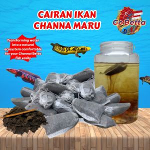 🇸🇬 GOBETTA Channa Maru Fish Liquid Auranti Limbata Pulchra Asiatica Special Treatment Fast Mutation Cairan Setan Ikan Channa CHANNA SHOP CHANNA STORE FISH SHOP CHANNA OUTLET CHANNA RETAIL CHANNA RETAIL SHOP CHANNA SINGAPORE ONLINE SHOP CHANNA MARKET