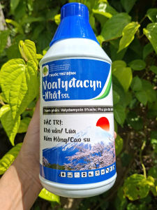[THIEN THINH SHOP] Thuốc trừ bệnh hoạt chất Valydamycin 5% hiệu VOALYDACYN NHẬT 5SL trừ bệnh đốm vằn trên lúa nấm hồng trên cao su hiệu quả cao chai 1 lít