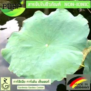 สารจับใบชาวด้วย PURE สารอินทรีย์ 100% หลัก 50% ลดราคา 225 ฿