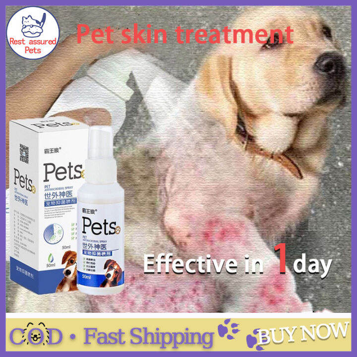 Skin meds hot sale for dogs