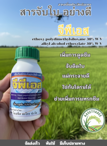 สารจับใบ จีพีเอส สารเสริมประสิทธิภาพ  ช่วยเพิ่มการแทรกซึม
