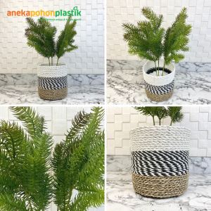 Tanaman Hias Daun Pinus Cemara Tangkai X4 Latex Artificial Cover Seagrass Dekorasi Pajangan Ruangan