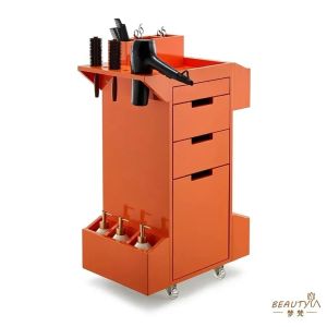 xpkQ Nordic Multifunctional Salon Trolley Barbershop Storage Creative Tool Cabinet Salon-specific Salon Furniture Kosmetik Wagen FYST 5B8Q6