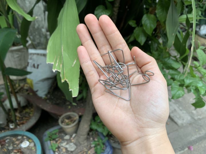 %5BHCM%5DPHE%20C%C3%80I%20GI%E1%BB%AE%20B%E1%BB%90%20CHO%20HEO%20BREM%20-%20Image%204