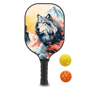 Pickleball Paddles Lightweight racks whith Professiona paddle Fiberglass Graphite Face Non-Slip Grip USAPA Approved ID 60625-1654451395