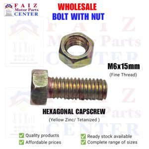 10 pcs. BH. 6x15mm (#10 sa yabe /tools)GOLD PLATED HEX BOLT WITH NUT (Tetanized Zinc Plated)