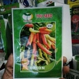 Benih cabe rawit Orion F1 dompolan 10gram