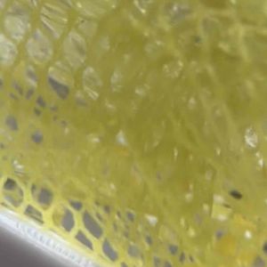 ส่งฟรี 3M สก๊อตช์-ไบรต์ ตาข่ายล้างจาน ภาชนะอเนกประสงค์ ไม่สะสมแบคทีเรีย ไม่สะสมเศษอาหารแห้งเร็วเส้นใยไม่หลุด (3ชิ้น/แพ็ค)