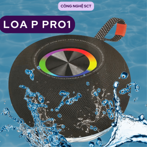 ( Flash Sale 50% ) Loa Bluetooth P Pro 1 CAO CẤP - Nhỏ Gọn Bền Bỉ Công Suất 10W và Kháng Nước IP67 Cho Âm Thanh Tuyệt Vời - BẢO HÀNH 1 ĐỔI 1 từ Mường Thanh Royal