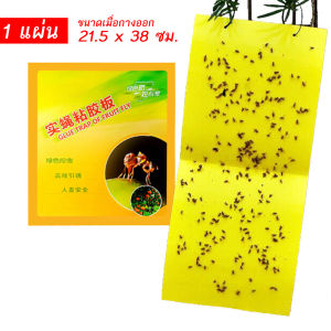 แผ่นกระดาษกาว ล่อแมลงวัน แมลงศัตรูพืช ล่อแมลงผลไม้ แผ่นกาวดักแมลง กาวเหนียวล่อแมลงผสมสารล่อแมลงมีพีโลโมน (1 แผ่น)