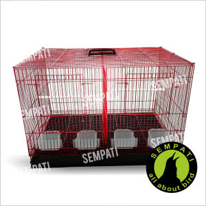 SEMPATI Sangkar Kandang Umbaran Sekat 60x40x40 Sangkar Ternak Burung Lovebird Kandang Hewan Kucing Anjing Sugar Glider Hamster Reptil Sangkar Kotak Besi