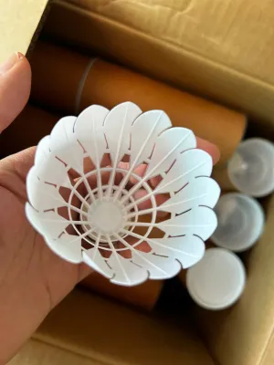 hộp 10 quả cầu lông ba sao loại tốt