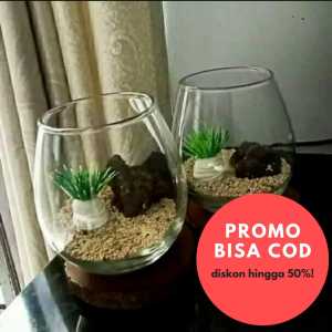GRATIS TATAKAN KAYU Aquarium cupang hias / ikan hias / Akuarium Ikan mini aquascape